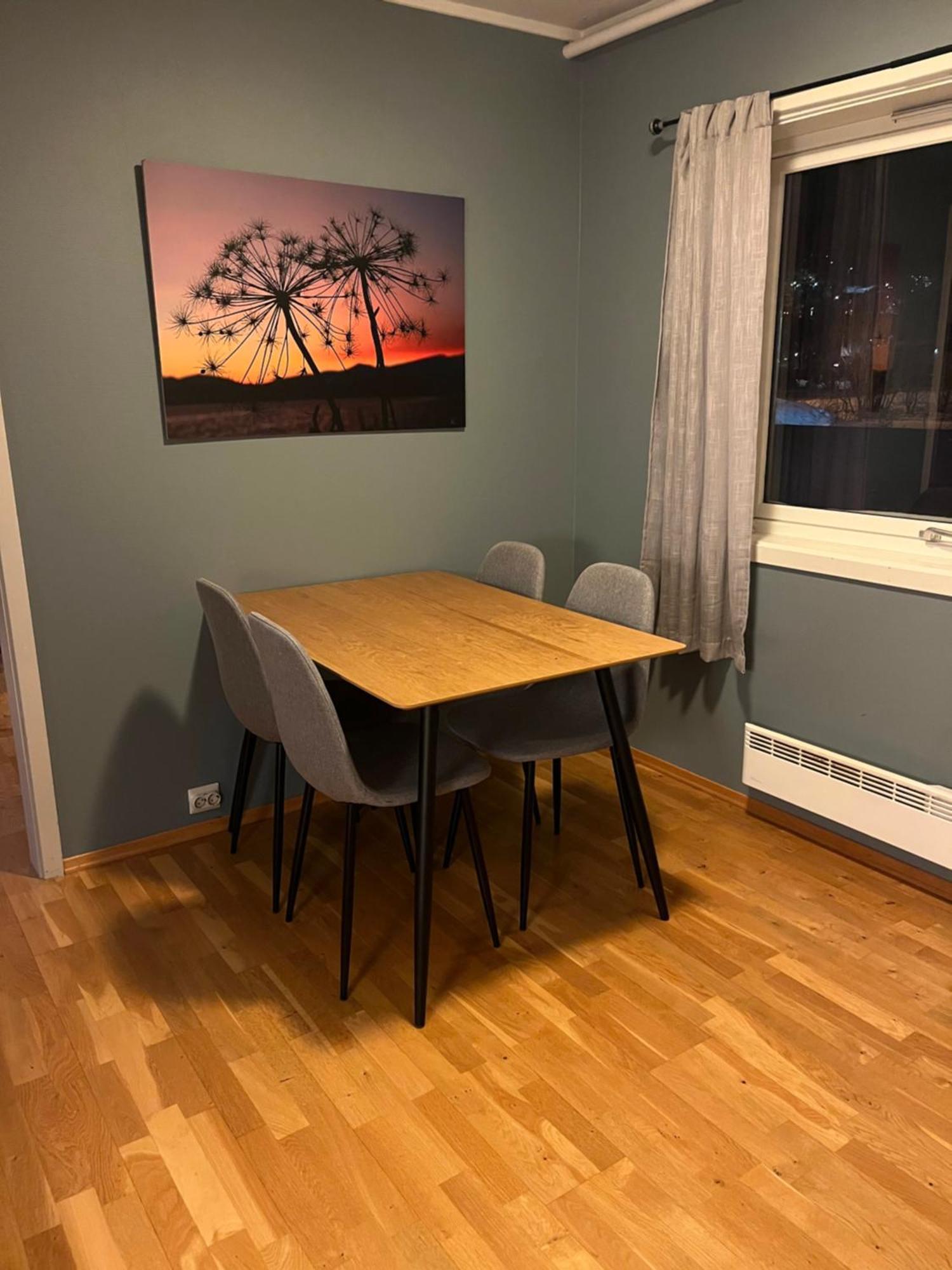 Fantastisk Utsikt! Gratis Parkering Appartement Tromsø Buitenkant foto